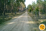 Forstwirtschaftlicher Wegebau in Krugau
